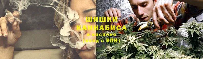 Бошки Шишки THC 21%  где можно купить   Буинск 